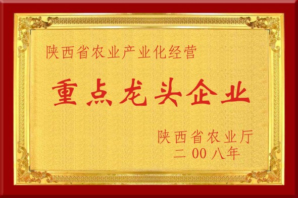 重點龍頭企業