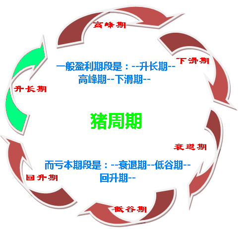 如何破解價格怪圈 化解“豬周期”風險？